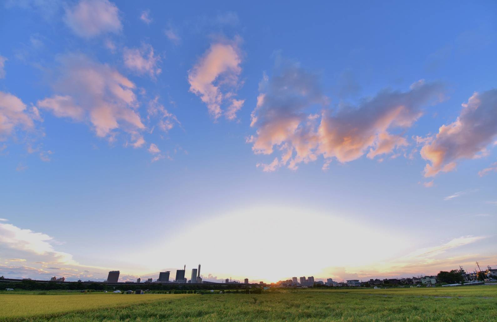 夕空の下に広がる田んぼと、その向こうの街並み